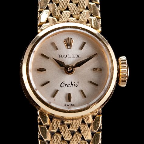 rolex orchid